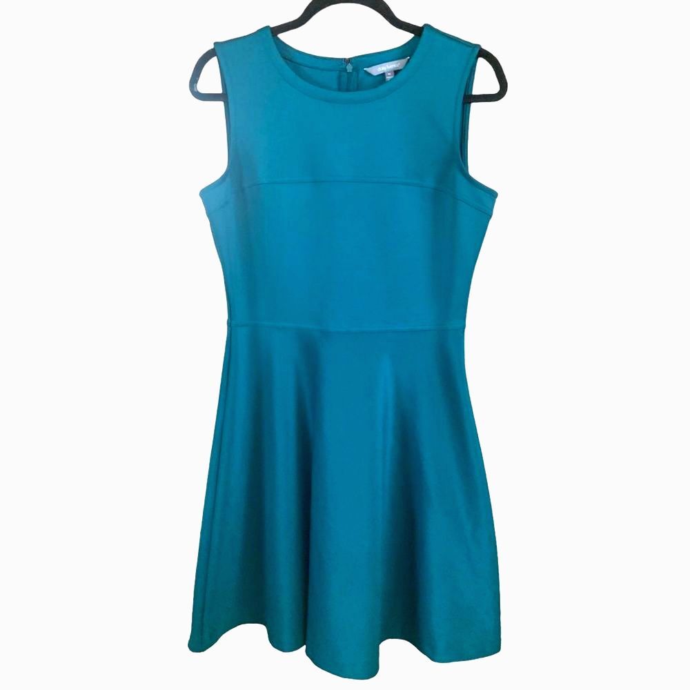 DAISY FUENTES Fit and Flare Skater Dress